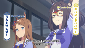 Uma Musume: Pretty Derby